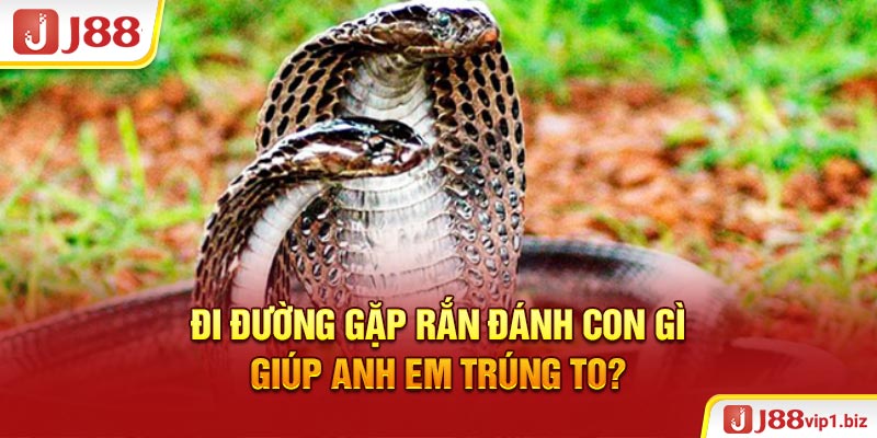 Đi Đường Gặp Rắn Đánh Con Gì Giúp Anh Em Trúng To 2026? Đi đường gặp rắn đánh con gì giúp anh em trúng to?