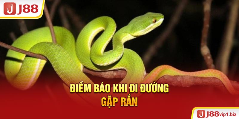 Đi Đường Gặp Rắn Đánh Con Gì Giúp Anh Em Trúng To 2026? Điềm báo khi đi đường gặp rắn